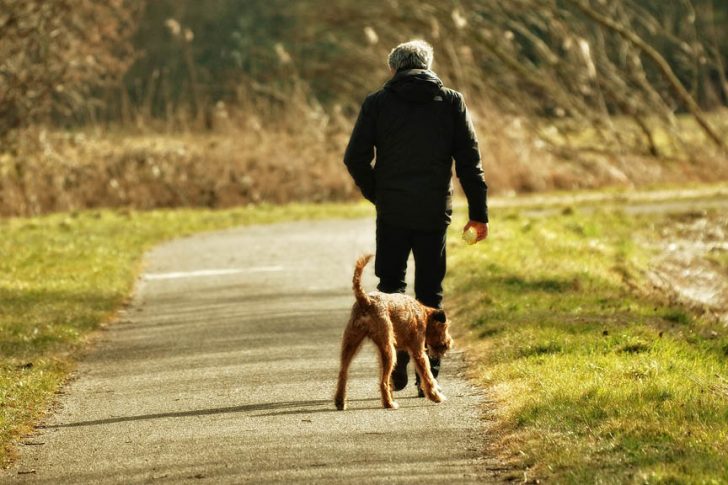 Countryside Walk