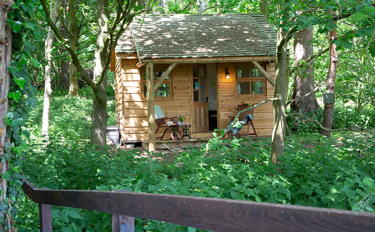 Cedar Lodge - Exterior