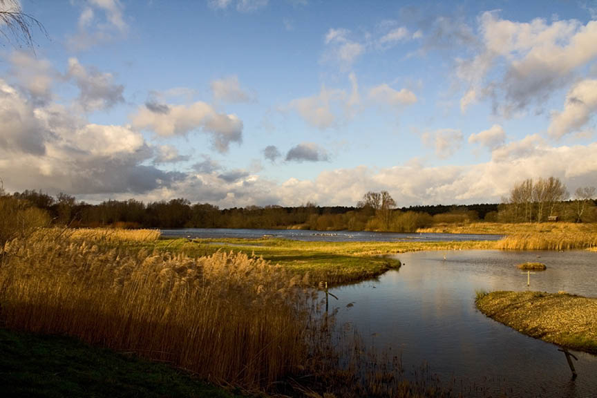 Lackford Lakes